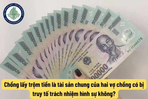 Chồng lấy trộm tiền là tài sản chung của hai vợ chồng có bị truy tố trách nhiệm hình sự không?