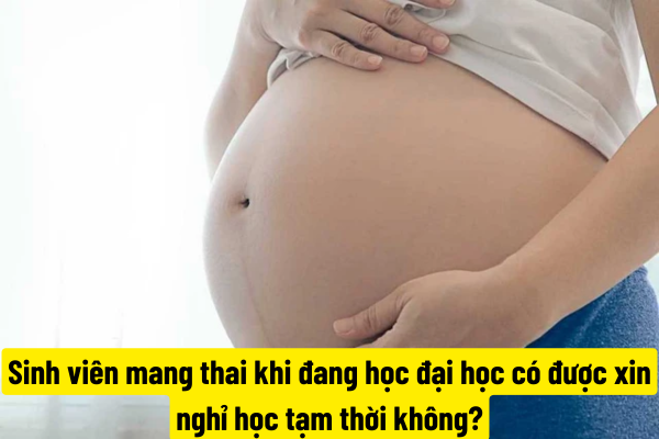 Sinh viên mang thai khi đang học đại học có được xin nghỉ học tạm thời không?