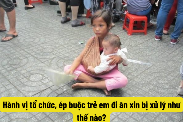 Hành vị tổ chức, ép buộc trẻ em đi ăn xin bị xử lý như thế nào?