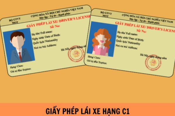 Giấy phép lái xe hạng C1 lái được xe gì? Độ tuổi cấp giấy phép lái xe hạng C1 là bao nhiêu?