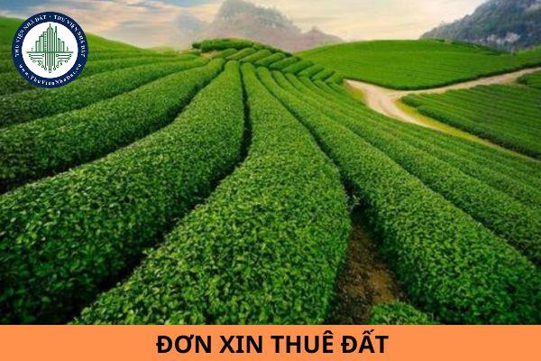 Mẫu đơn xin thuê đất mới nhất năm 2024?