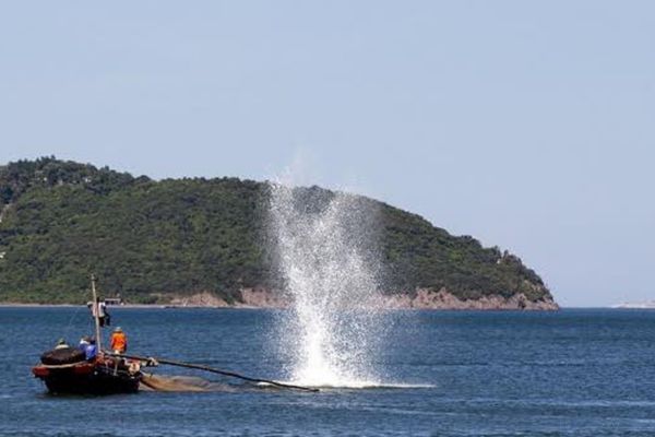 Sử dụng công cụ kích điện trên tàu cá để đánh bắt thủy sản có bị phạt không?