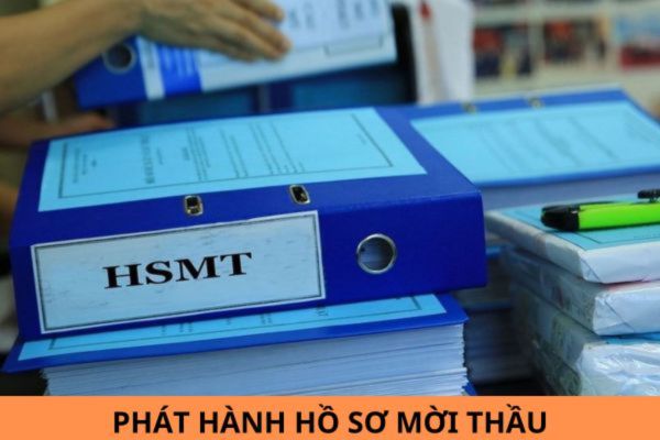 Điều kiện phát hành hồ sơ mời thầu để lựa chọn nhà đầu tư là gì?