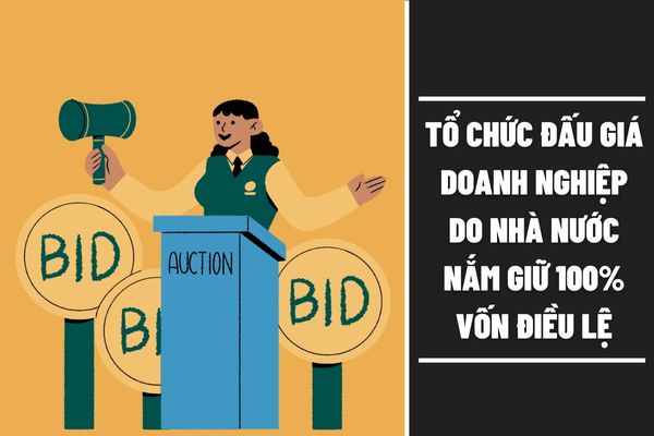 Việc tổ chức đấu giá đối với doanh nghiệp do nhà nước nắm giữ 100% vốn điều lệ được quy định thế nào?