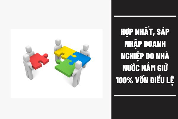 Hợp nhất, sáp nhập, chia, tách doanh nghiệp do nhà nước nắm giữ 100% vốn điều lệ là gì?