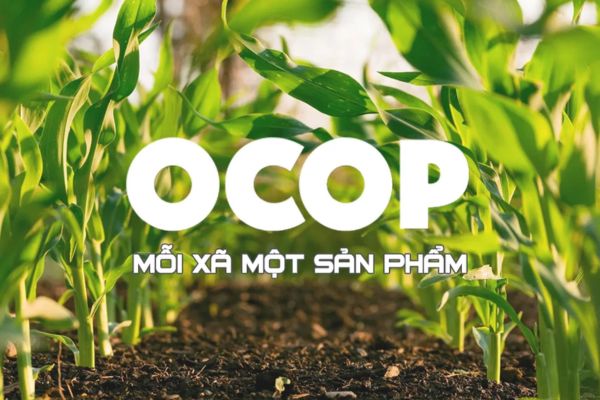 Giải pháp thực hiện Chương trình mỗi xã một sản phẩm giai đoạn 2021 - 2025? 