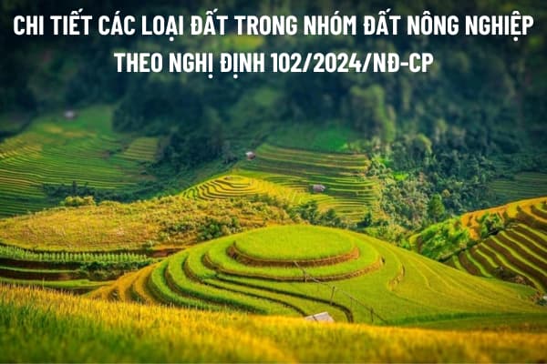 Đất nông nghiệp