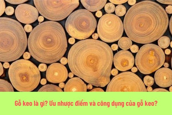 Gỗ keo là gì? Các loại gỗ keo phổ biến? (Hình từ Internet)