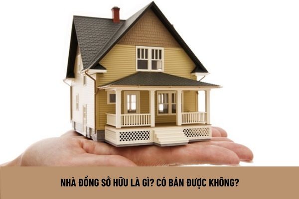 Nhà đồng sở hữu là gì?  Có bán được không?