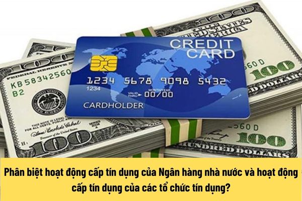 Ngân hàng Nhà nước Việt Nam là gì? Thế nào là các tổ chức tín dụng?  (Hình từ Internet)