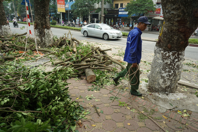 thuviennhadat.vn