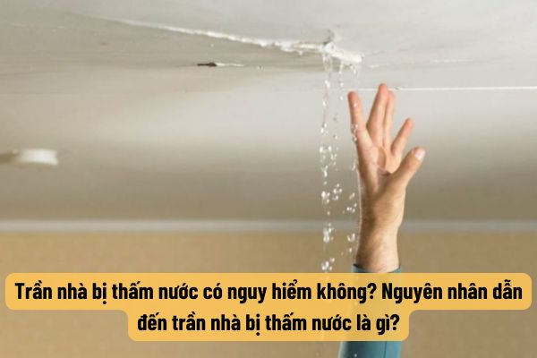 Trần nhà bị thấm nước có nguy hiểm không? Nguyên nhân dẫn đến trần nhà bị thấm nước là gì?