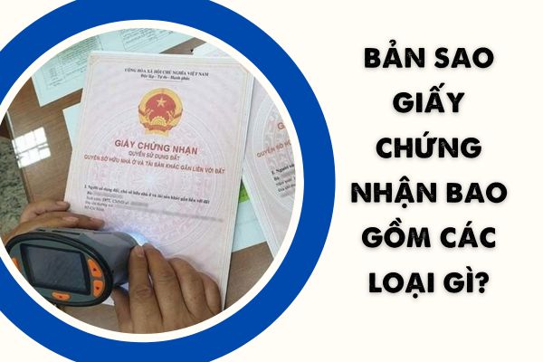 Bản sao Giấy chứng nhận đất đai bao gồm các loại gì?