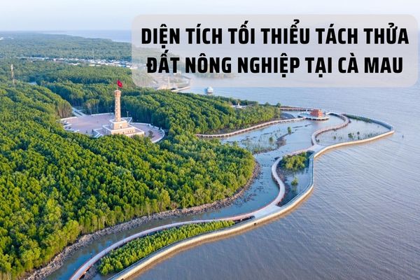 Diện tích tối thiểu tách thửa đất nông nghiệp tại Cà Mau