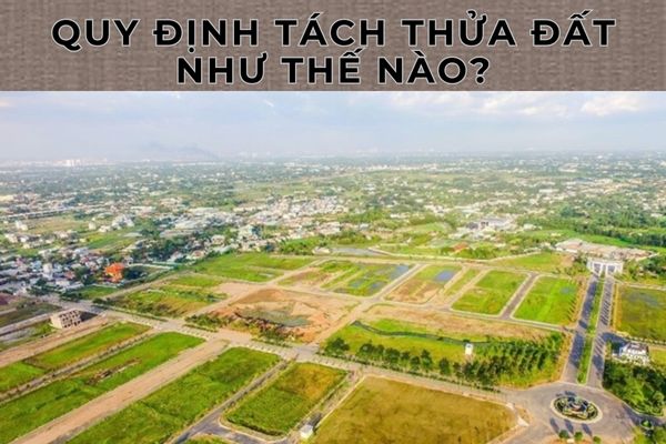 Quy định tách thửa đất như thế nào? (Hình từ Internet)