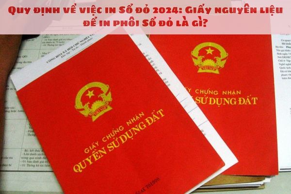 Quy định về việc in Sổ đỏ 2024: Giấy nguyên liệu để in phôi Sổ đỏ là gì?