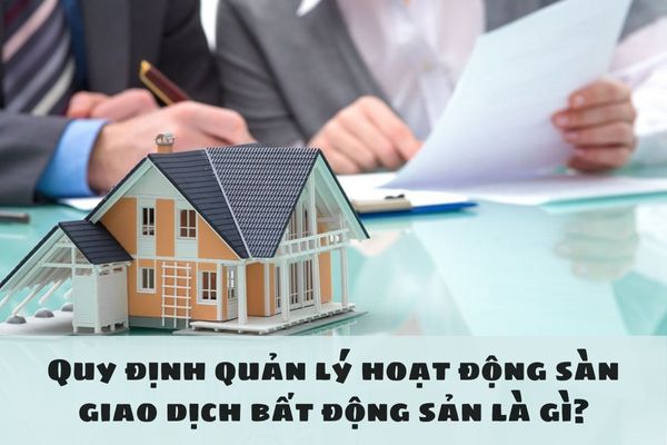 Quy định quản lý hoạt động sàn giao dịch bất động sản là gì?