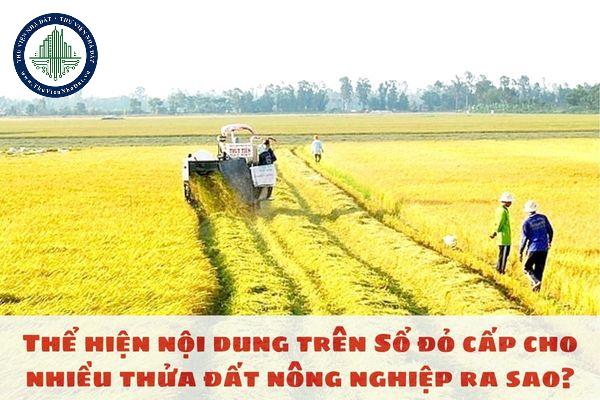 Thể hiện nội dung trên Sổ đỏ cấp cho nhiều thửa đất nông nghiệp ra sao?