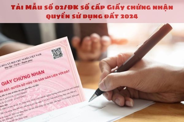 Tải Mẫu số 02 ĐK sổ cấp Giấy chứng nhận quyền sử dụng đất 2024