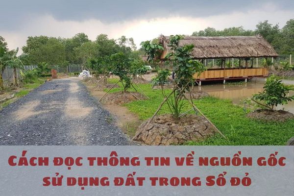 Cách đọc thông tin về nguồn gốc sử dụng đất trong Sổ đỏ