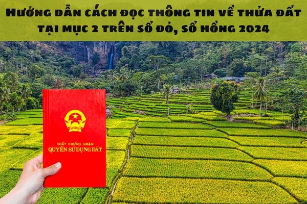 Hướng dẫn cách đọc thông tin về thửa đất tại mục 2 trên sổ đỏ, sổ hồng 2024