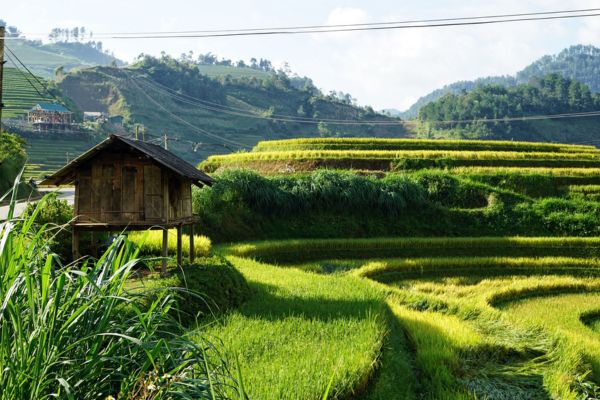 Người đang sử dụng đất nông nghiệp không có sổ đỏ thì khi đất bị thu hồi có được bồi thường không?