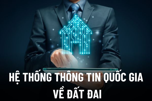 thuviennhadat.vn