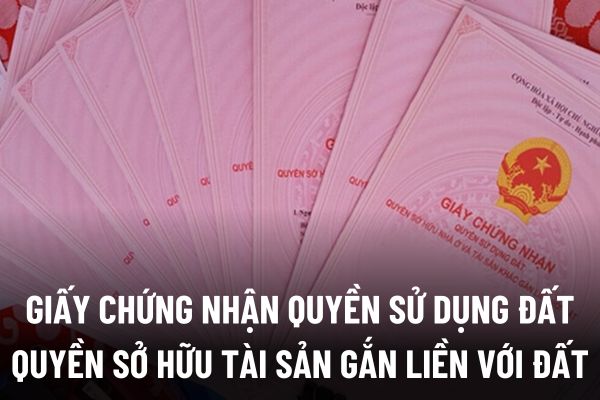 thuviennhadat.vn