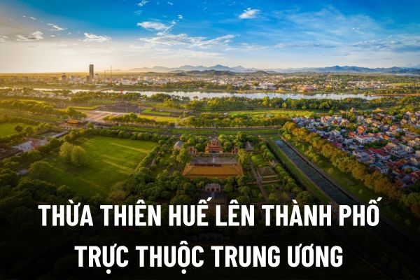 thuviennhadat.vn