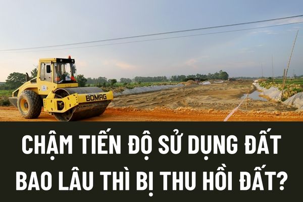 thuviennhadat.vn