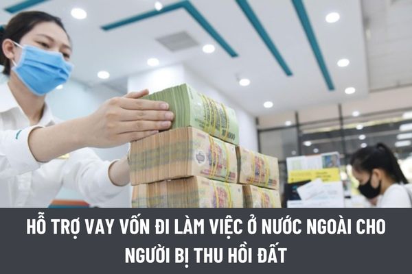 thuviennhadat.vn