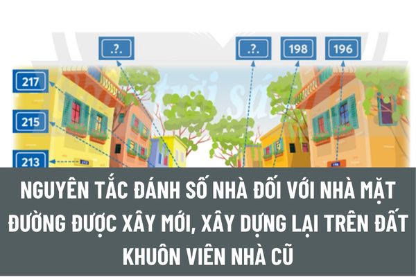 thuviennhadat.vn