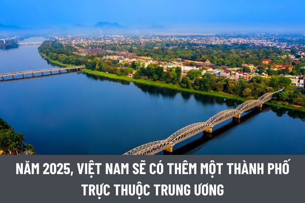 thuviennhadat.vn