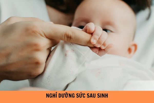 4. Vận Động Và Thể Dục Sau Sinh Mổ