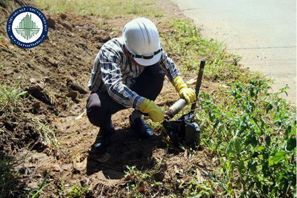 Việc điều tra, lấy mẫu phục vụ đánh giá chất lượng đất, tiềm năng đất đai được thực hiện như thế nào? 