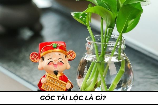 Góc tài lộc là gì? Cách trang trí góc tài lộc kích hoạt năng lượng phong thủy?