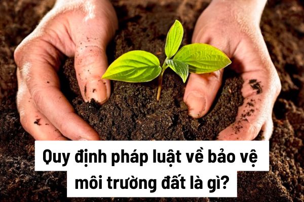 Bảo vệ môi trường đất quy định như thế nào? Khu vực ô nhiễm môi trường đất được phân loại thế nào?