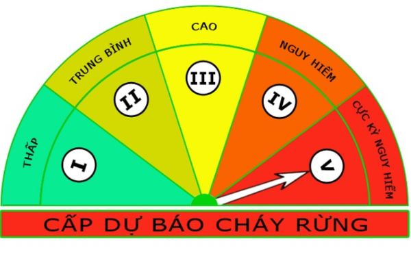 Cấp dự báo cháy rừng gồm mấy cấp và ai có thẩm quyền? Điều kiện an toàn về phòng cháy đối với khu rừng như thế nào?  