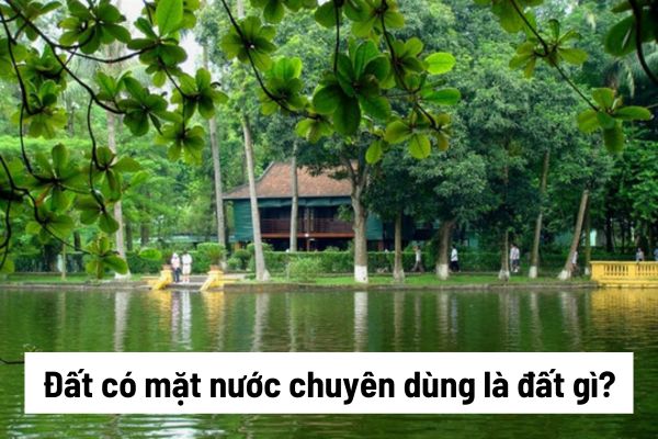 Đất có mặt nước chuyên dùng là đất gì? Ai được Nhà nước cho thuê cũng như chịu trách nhiệm đối với đất có mặt nước chuyên dùng?