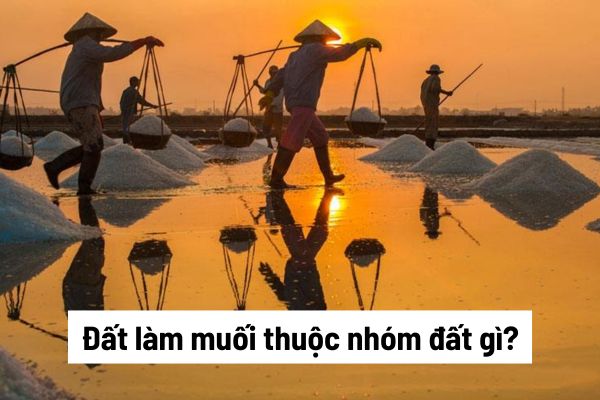 Đất làm muối thuộc nhóm đất gì? Trách nhiệm và thời hạn sử dụng đất làm muối được quy định thế nào đối với cá nhân?