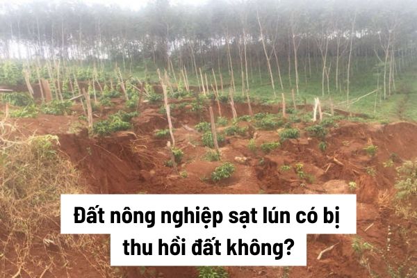 Đất nông nghiệp sạt lún có bị thu hồi đất không? Nếu bị thu hồi có được cấp sổ đỏ không và bồi thường như thế nào?