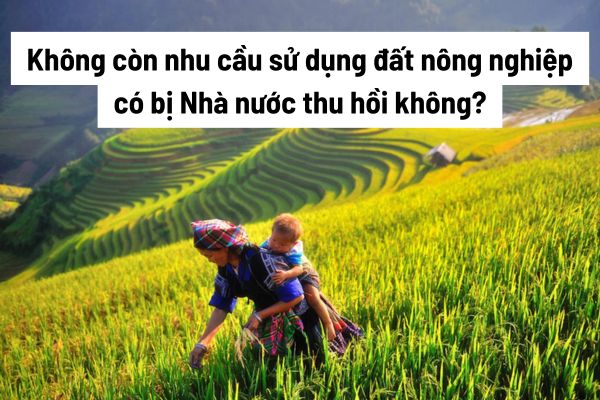 thuviennhadat.vn