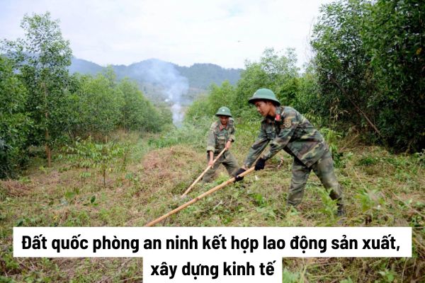 Chấm dứt phương án sử dụng đất quốc phòng an ninh kết hợp lao động sản xuất, xây dựng kinh tế khi nào? Thẩm quyền chấm dứt thuộc về cơ quan nào?