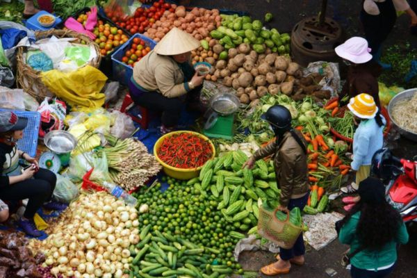 Tổ chức quản lý chợ bao gồm những gì và có trách nhiệm gì? Kế hoạch phát triển chợ thực hiện thế nào?