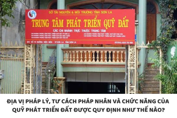 thuviennhadat.vn