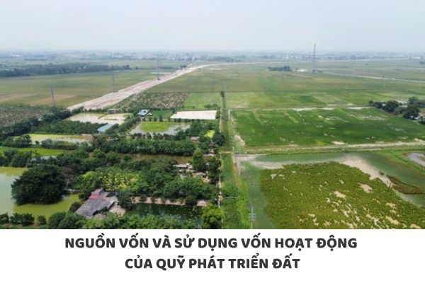 thuviennhadat.vn