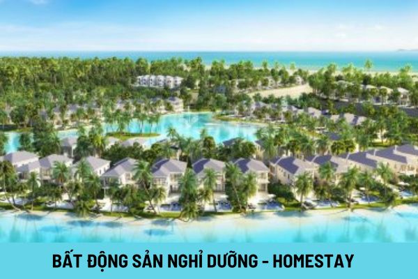 Nên đầu tư bất động sản nghỉ dưỡng hay bất động sản homestay? Lựa chọn nào mang lại lợi nhuận cao hơn?