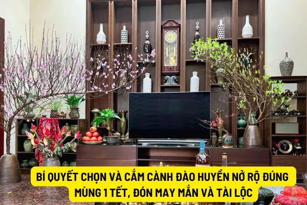 Bí quyết chọn và cắm cành đào huyền nở rộ đúng mùng 1 Tết, đón may mắn và tài lộc