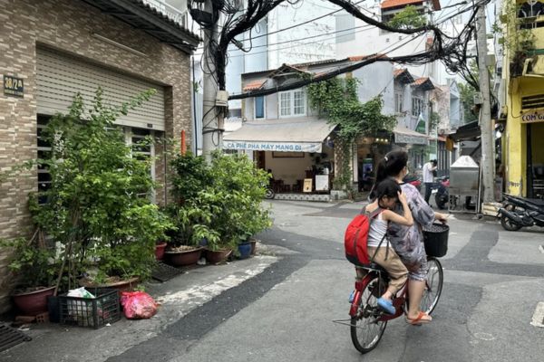 Trồng cây trước cửa nhà có phải hành vi lấn chiếm đất đai hay không? Nếu có thì bị phạt bao nhiêu tiền?