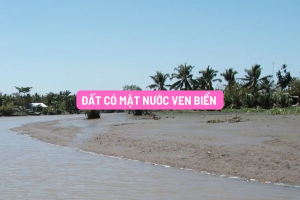 Đất có mặt nước ven biển được Nhà nước giao đất, cho thuê đất đối với? Đất có mặt nước ven biển phải tuân thủ quy định nào?